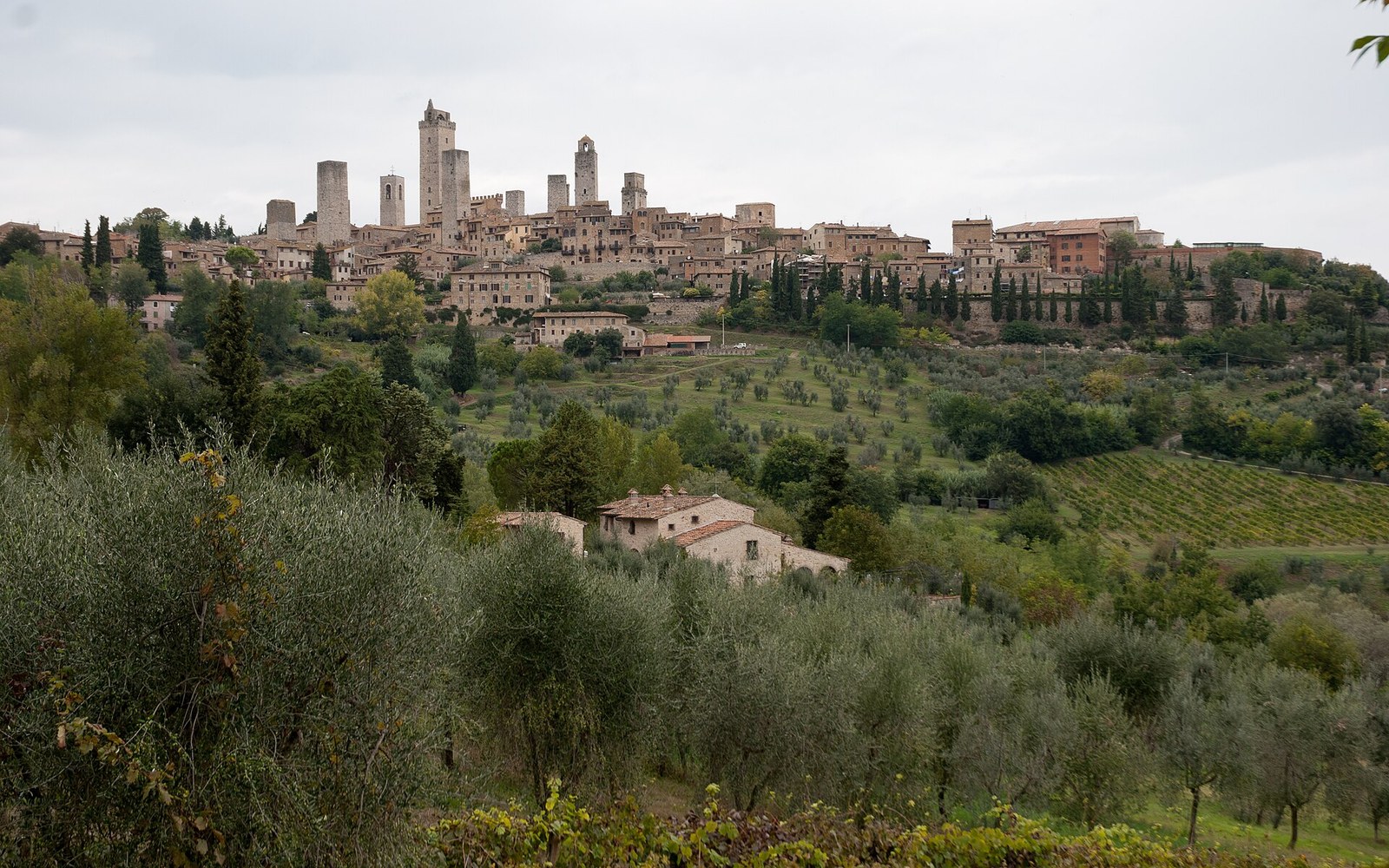 Medieval towers rise above San Gimignano's hilltop skyline beyond olive groves and vineyards